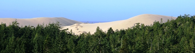 Oregon Dunes